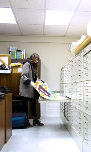 Veronica-Sorting-Prints-in-Archives_MG_7849-1024x683